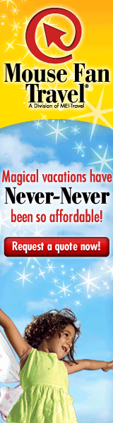 Mouse Fan Travel